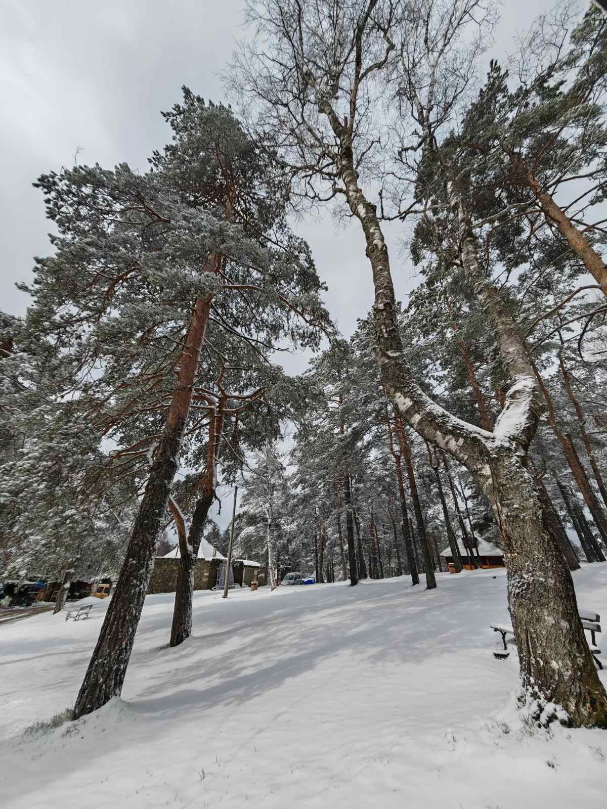 Divčibare se zabelele i u aprilu!