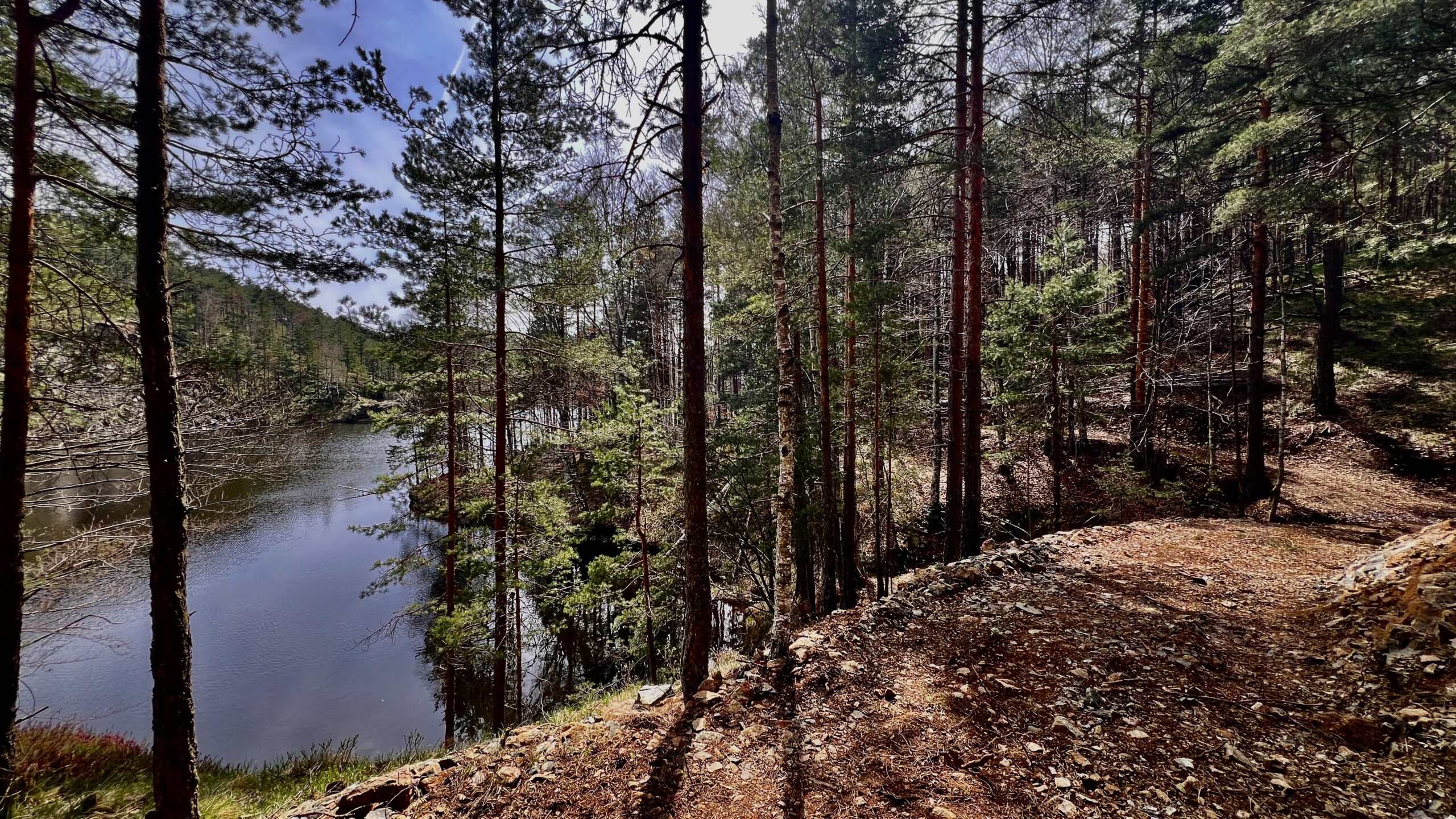 Čalačko jezero – skrivena lepota Divčibara koju turisti još ne poznaju